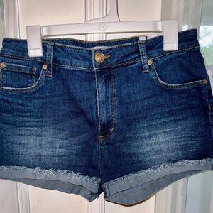 STS Blue 10" High Rise Denim Shorts Sz 30